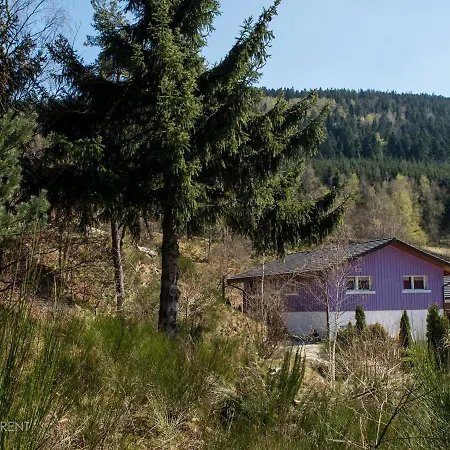 Gite De Charme Au Coeur Des Vosges Avec Jardin, Piscine Et Activites Proches - Fr-1-589-10 بيت للعطل