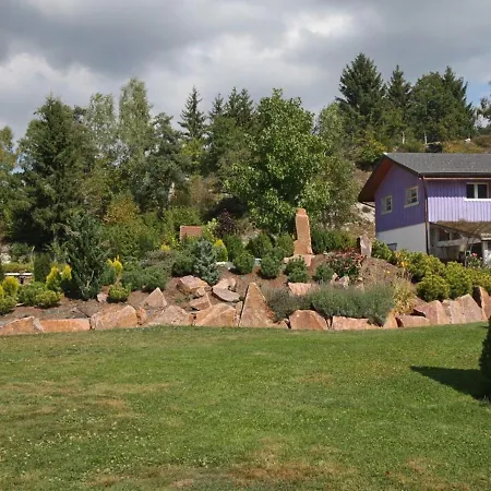 Gite De Charme Au Coeur Des Vosges Avec Jardin, Piscine Et Activites Proches - Fr-1-589-10 *