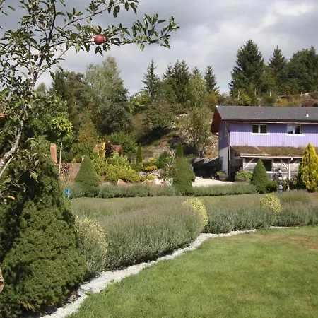 بيت للعطل Gite De Charme Au Coeur Des Vosges Avec Jardin, Piscine Et Activites Proches - Fr-1-589-10 كورنيمونت