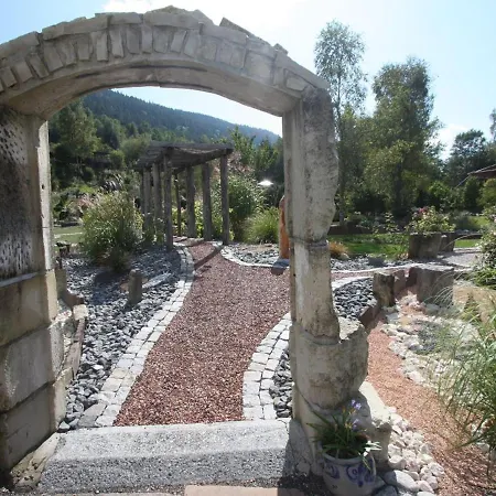 Gite De Charme Au Coeur Des Vosges Avec Jardin, Piscine Et Activites Proches - Fr-1-589-10 *