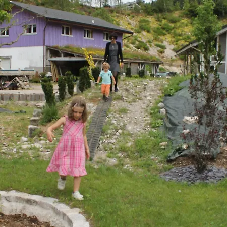 Gite De Charme Au Coeur Des Vosges Avec Jardin, Piscine Et Activites Proches - Fr-1-589-10 *